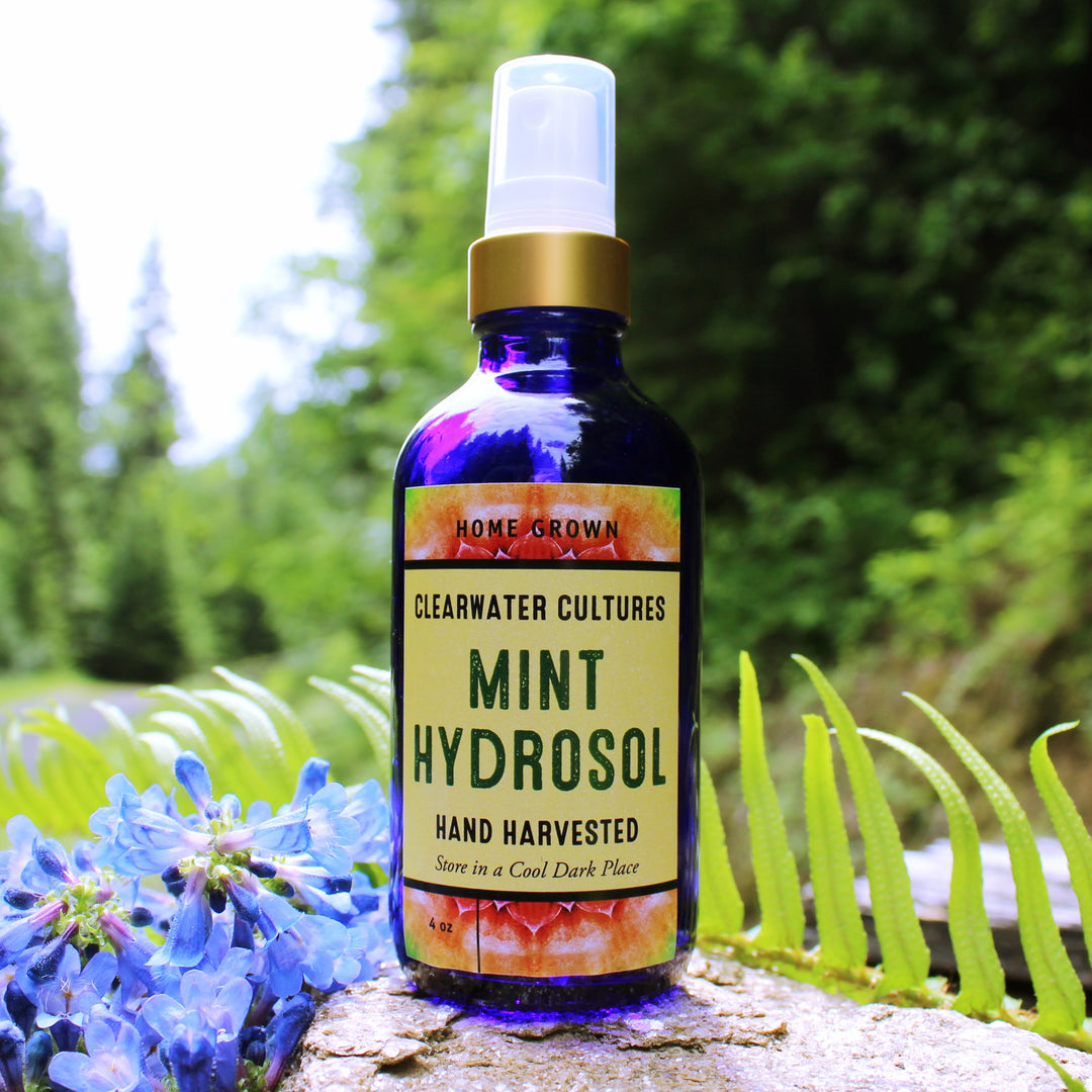 MINT HYDROSOL- MEDICINAL, WILDCRAFTED, HOMEGROWN- 4OZ 