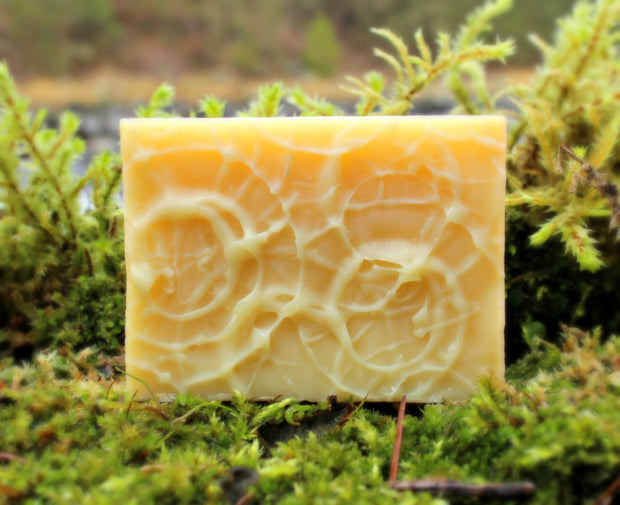 Oasis (Rosemary Peppermint) Shampoo Bar - Organic, Probiotic, & Medicinal - Clearwater Cultures