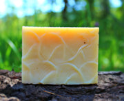Wildwood (Cedar Pine) Shampoo Bar - Organic, Probiotic, & Medicinal - Clearwater Cultures