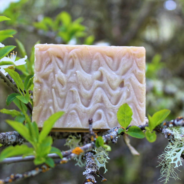 Henna (Black) Shampoo Bar - Organic, Probiotic, & Medicinal - Clearwater Cultures