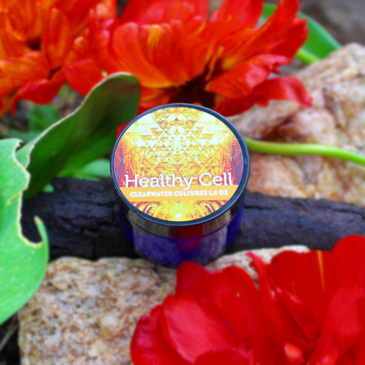 Healthy Cell Adaptogen Cream - Organic, Probiotic, & Medicinal - Immune System Booster - Various Sizes