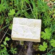 Wildwood (Cedar Pine) Shampoo Bar - Organic, Probiotic, & Medicinal