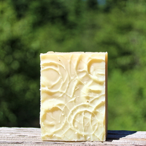 Clarity (Unscented) Shampoo Bar  - Organic, Probiotic, & Medicinal - Clearwater Cultures