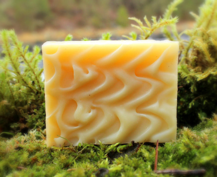 Soulasta (Lemon Lavender) Shampoo Bar - Organic, Probiotic, & Medicinal - Clearwater Cultures