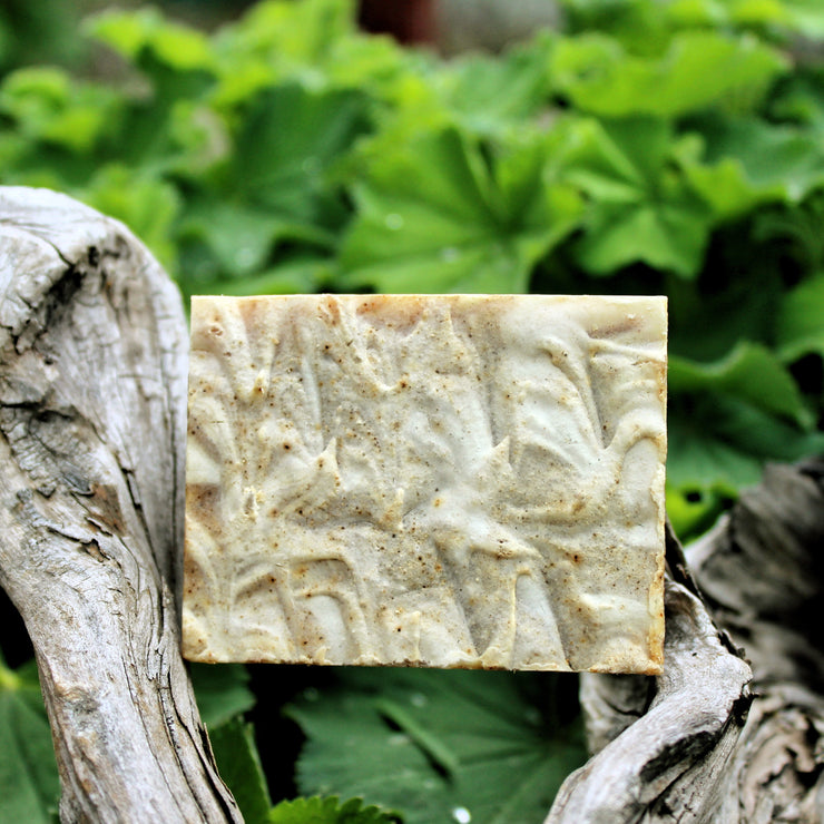 Body Build (BF&C) Soap - Organic, Probiotic, & Medicinal - Clearwater Cultures
