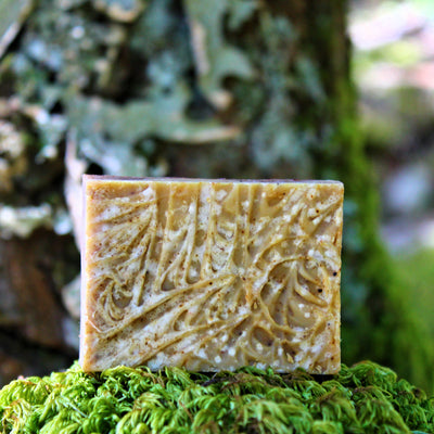 Healthy Cell Soap - Organic, Probiotic, & Medicinal - Clearwater Cultures